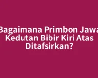 Bagaimana Primbon Jawa Kedutan Bibir Kiri Atas Ditafsirkan?