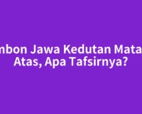 Primbon Jawa Kedutan Mata Kiri Atas, Apa Tafsirnya?