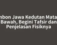 Primbon Jawa Kedutan Mata Kiri Bawah, Begini Tafsir dan Penjelasan Fisiknya