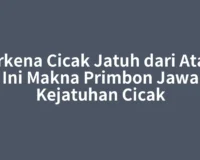 Terkena Cicak Jatuh dari Atas? Ini Makna Primbon Jawa Kejatuhan Cicak