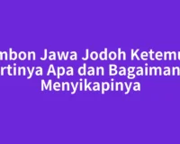 Primbon Jawa Jodoh Ketemu 30 Artinya Apa dan Bagaimana Menyikapinya