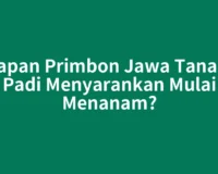 Kapan Primbon Jawa Tanam Padi Menyarankan Mulai Menanam?