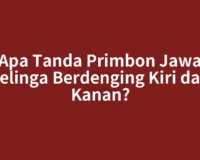 Apa Tanda Primbon Jawa Telinga Berdenging Kiri dan Kanan?