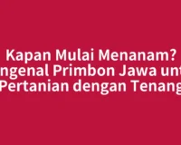 Kapan Mulai Menanam? Mengenal Primbon Jawa untuk Pertanian dengan Tenang